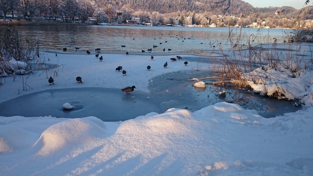 Ferienparadies Gutounik Pörtschach am Wörthersee Esterno foto